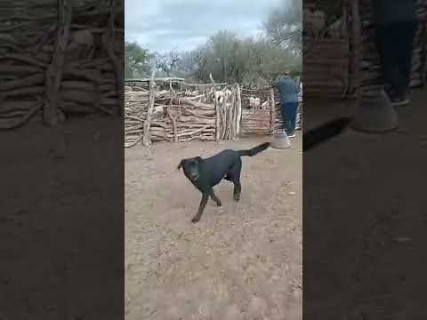 la cañada chancani junio 23 Córdoba