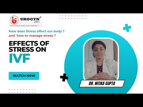 IVF Stress