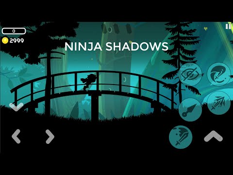 Ninja Shadows