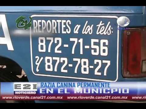 Razzia canina sera permanente y ya cuentan con vehículo acondicionado para la campaña