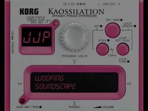 Kaossilator Sound: A Woofing Soundscape