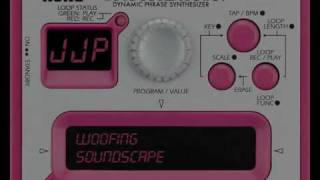 Kaossilator Sound: A Woofing Soundscape