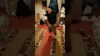@ТУРБО ПУШКА. СМЕШНО ДО СЛЁЗ. 😂😂