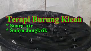 Download lagu Suara Gemericik Air Untuk Terapi Burung Kicau , Suara Air dan Suara Jangkrik Utuk Terapi Burung mp3 Download lagu Suara Gemericik Air Untuk Terapi Burung Kicau , Suara Air dan Suara Jangkrik Utuk Terapi Burung mp3