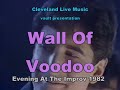 Wall of Voodoo - Back In Flesh - Evening At The Improv 1982