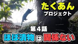 第４話「チワワと脱走猫と大イタチ」ちょっとだけたくあん。
