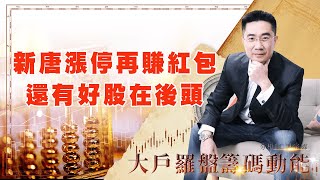 新唐漲停再賺紅包 還有好股在後頭 (圖)