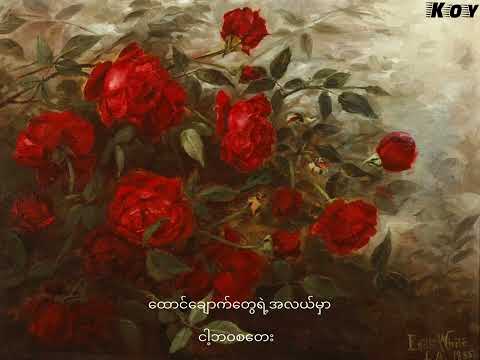 နှင်းဆီဝင်္ကပါ // လေးဖြူ