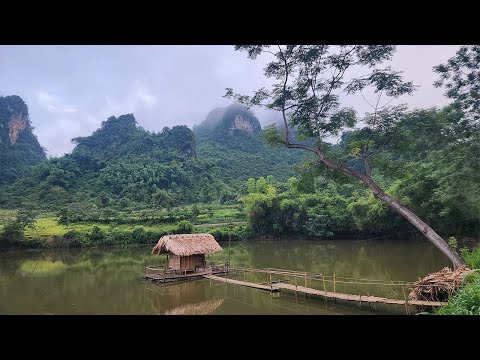 Are Floating Barracks the Solution to Homelessness? I'm Ready for a New Journey E.P 4