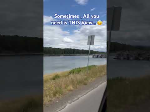 River View#nature#beautifulview#sky#water#three#calmmind#explore#shorts#viralshorts #peaceful#birds