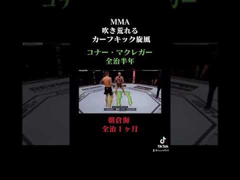 MMAカーフキック破壊