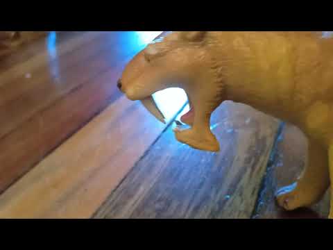 Thylacosmilus vs Macrauchenia