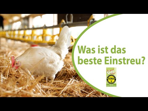 The best bedding for our chickens in the coop.