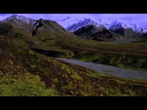 Orlando ft Stereo Express - La Vie En Rose (Rene Bourgeois 'More Rum For The Ska Pirates' Remix)