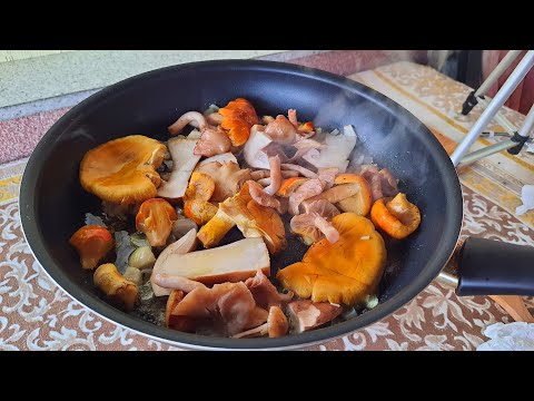 * BLAGVA * VRGANJ * ŠLJIVOVAČA