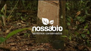 Documentário Nossabio: a essência do extrativismo e o potencial da floresta em pé