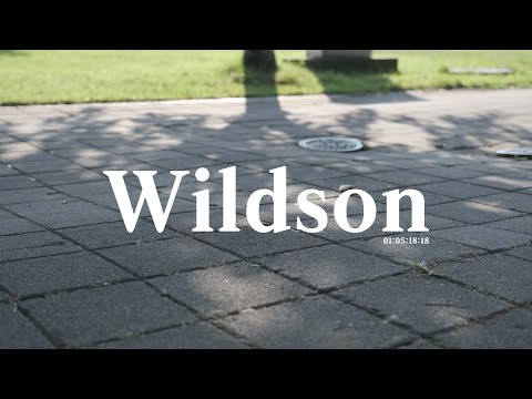 ᴘʟᴀʏʟɪꜱᴛ 출근 길에 듣기 좋은 "Wildson"의 트렌디하고 감성 넘치는 음악🎧