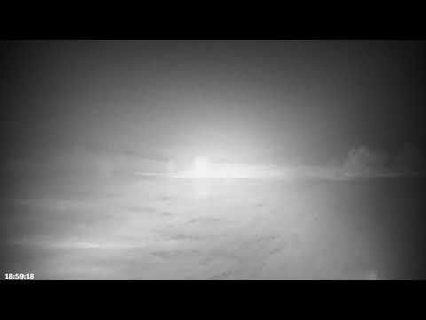 Bywyd Gwyllt Glaslyn Wildlife - Ffrwd Byw / Live Stream 1