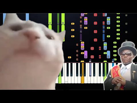 CAT VIBING TO COFFIN DANCE