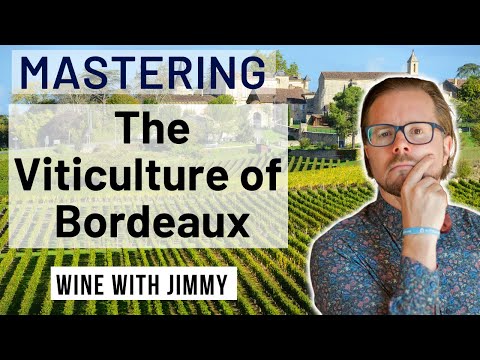 WSET Level 4 D3 (Diploma) Mastering The wines of Bordeaux - Viticulture