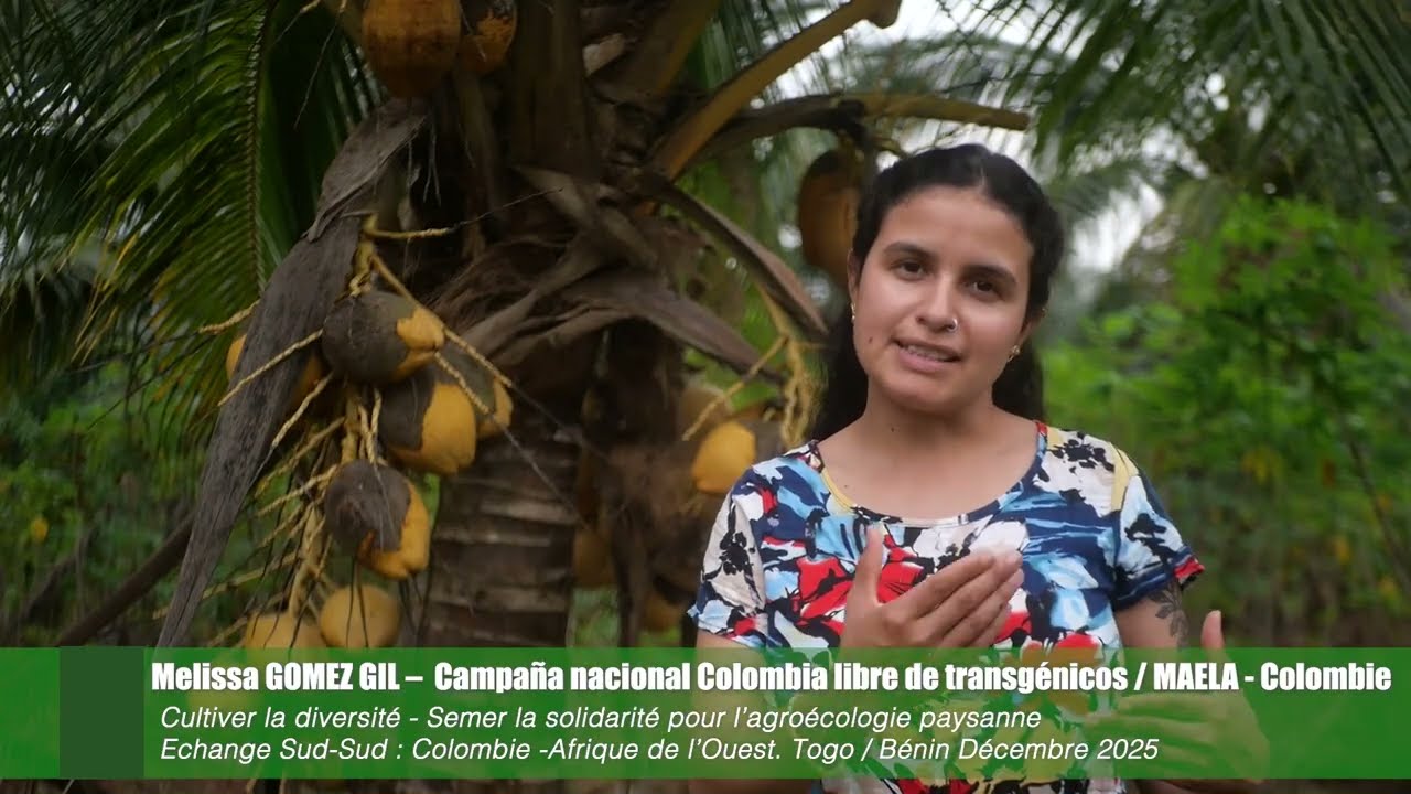 MELISA. Seeds of Resistance: Historic Peasant Exchange Launched in West Africa