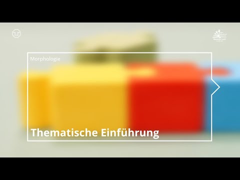 Morphologie: Einführung und Übersicht über Grundbegriffe (TU Dresden)