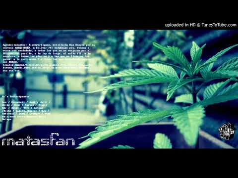 MATASFAN - Ahora o nunca beats Mdr