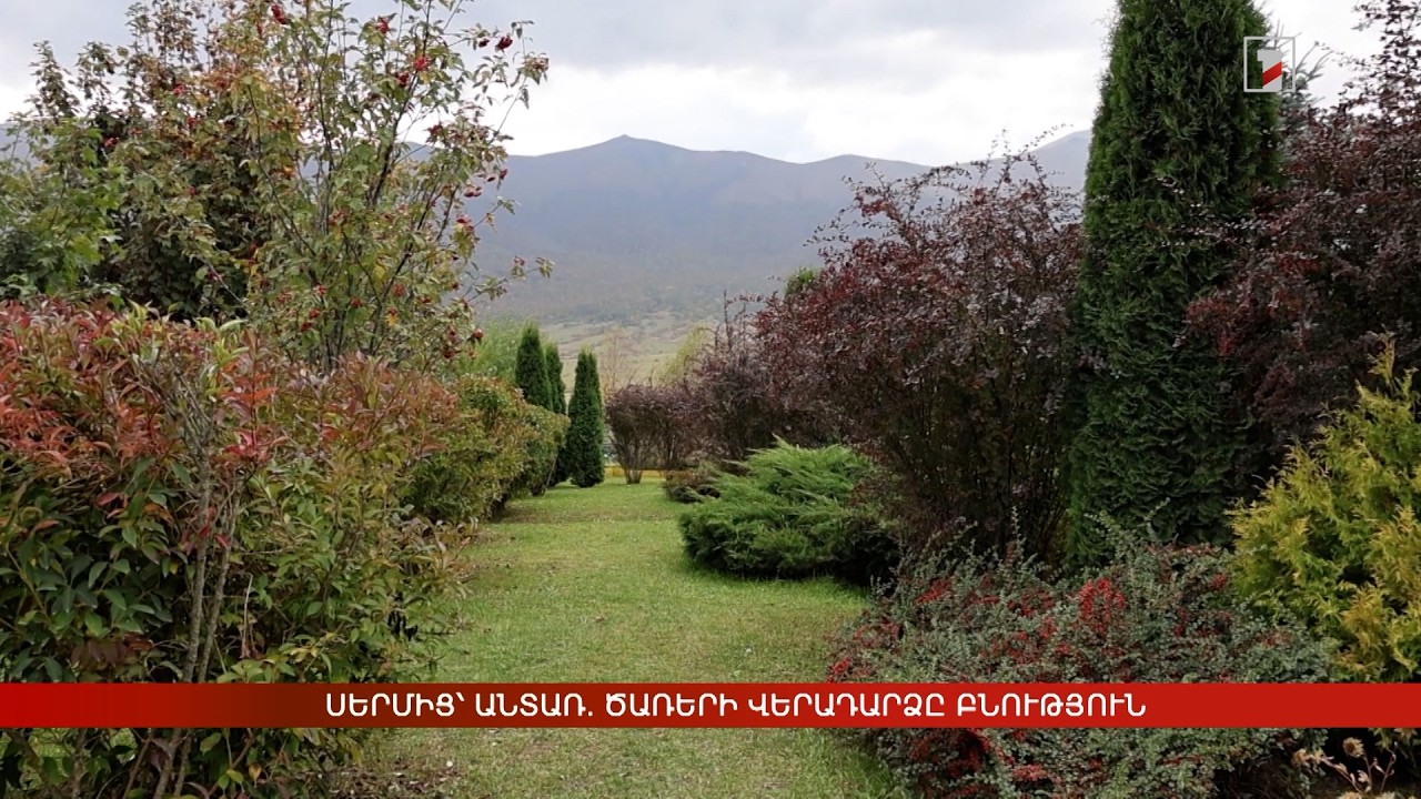 Սերմից՝ անտառ. ATP-ն վերականգնում է Հայաստանի կենսաբազմազանությունը