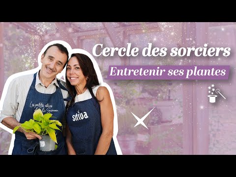 Les astuces d’Elie Semoun pour entretenir ses plantes | Cercle des sorciers