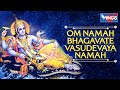 ॐ नमो भगवते वासुदेवाय OM Namo Bhagavate Vasudevaya Relaxing Musi