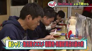 動画のサムネイル