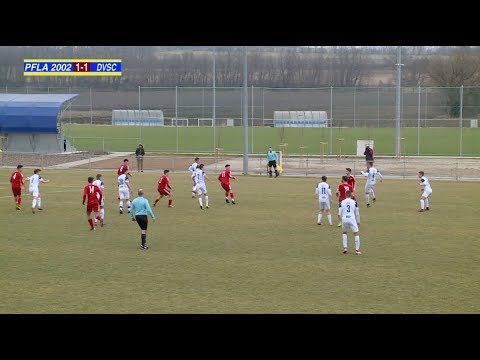 PFLA 2002 - DVSC 1-1