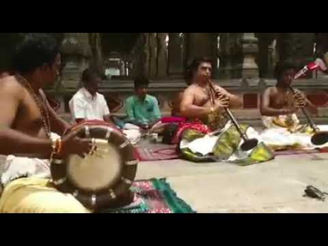 Mahadeva Shiva Revathi Ragam Meenakshi Sundaram Nadaswaram