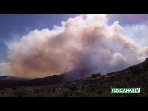2017-07-17 TOSCANA - FIAMME IN TUTTA LA REGIONE, DECINE DI INTERVENTI DEI VF