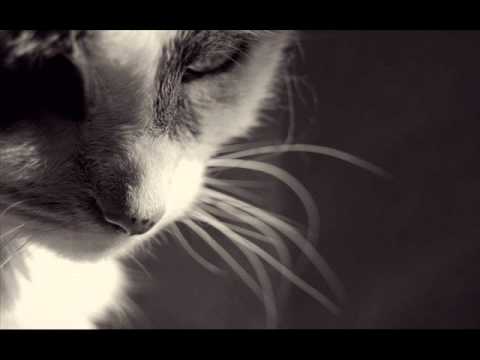 Garbage - I'm waiting for you