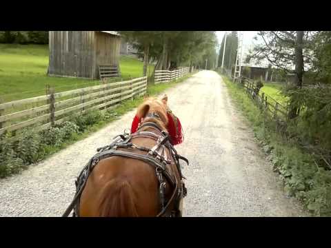 IAPA STELUTA LA SARETA - PENSIUNEA VALEA MARIILOR