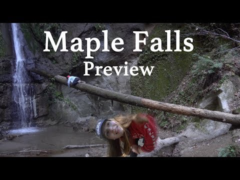Maple Falls Trailer - Forest of Nisene Marks State Park - Hiking, Santa Cruz CA - 2018 (4K)