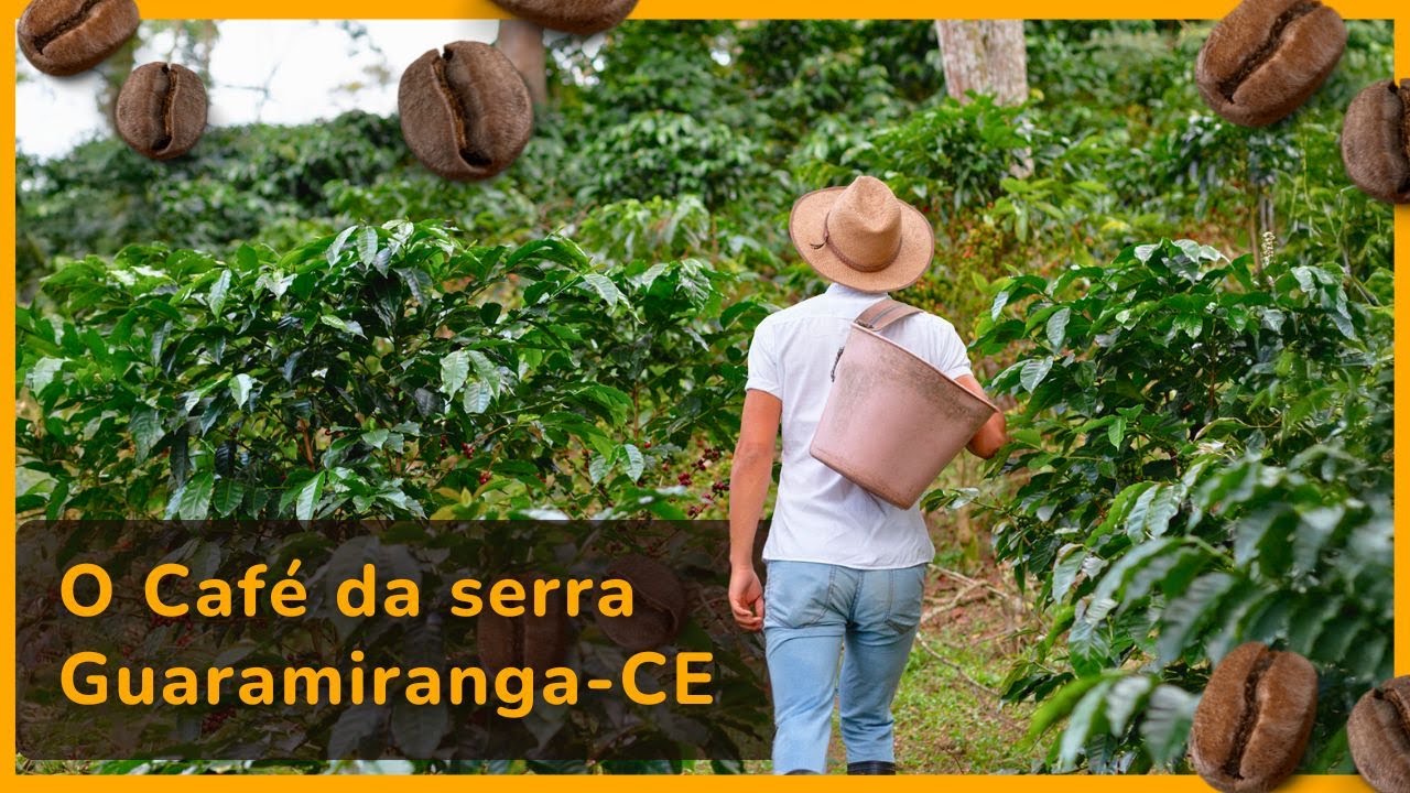 O CEARÁ TEM HISTÓRIA E O DOCUMENTÁRIO "CAFÉ, O AROMA QUE ALCANÇA AOS CÉUS" VAI TE SURPREENDER