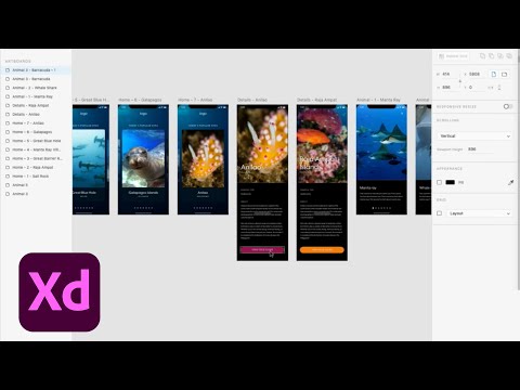 UI/UX Design with Christine Lee - 2 of 3 | Adobe Creative Cloud