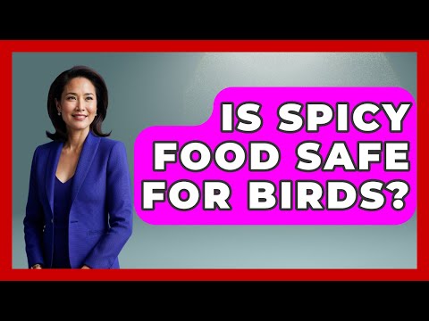 Is Spicy Food Safe For Birds? - Bird Watching Diaries