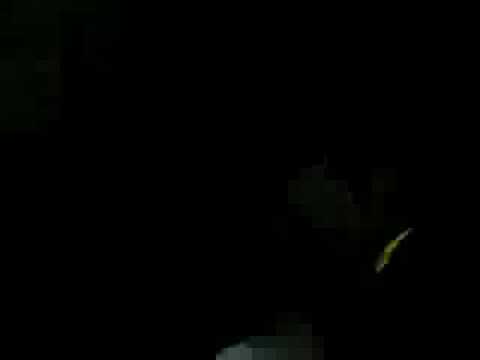 Damian DP @ CrapfieldsDualCore2006rhythm