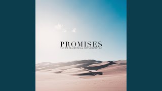 Promises Music Video
