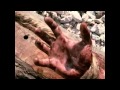 БОГ є Любов'ю.avi 
