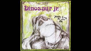 Dinosaur Jr. - You&#39;re Living All Over Me (1987) Full Album + Bonus Track