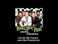 Where Have You Been (skacoustic) - Reel Big Fish