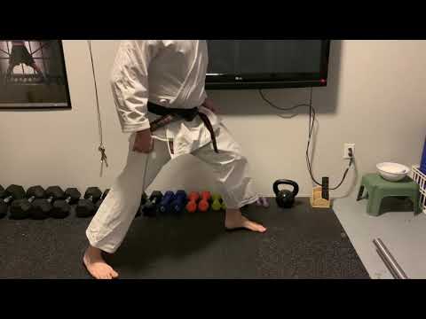 Warrior Stance Video basic