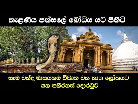 Kelaniya temple - කැළණිය පන්සලේ බෝධිය යට පිහිටි නාග ලෝකයට යන අභිරස් දොරටුව