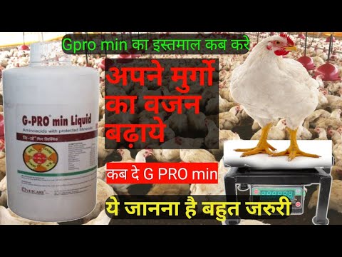 G-GROWMIN  blend of multivitamins and amino acids