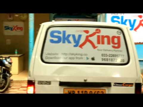 SkyKing Courier Service
