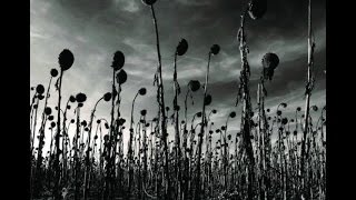 Dead Can Dance - Opium Subtitulos Ingles Español